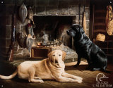 Ducks Unlimited Waiting at Crow's Creek Tin Sign