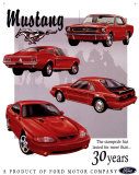 Ford Mustang 30 Year Tribute Tin Sign