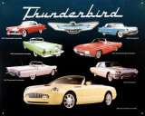 Ford Thunderbird Blikskilt