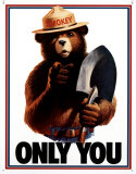 Smokey Bear - Only You Plaque en métal
