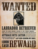 Black Lab Wanted Poster Plakietka emaliowana