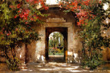 Flowered Doorway Art by Cyrus Afsary