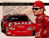 Dale Jr. con el coche Bud Cartel de chapa