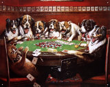 Eight Dogs Playing Cards Emaille bord