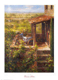 Tuscan Patio Prints by Andino 