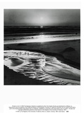 Birds on a Beach Poster van Ansel Adams Birds on a Beach Poster van Ansel Adams