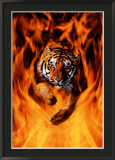 Bengal Tiger Jumping Flames Print