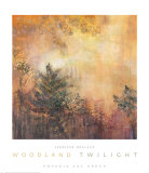 Woodland Twilight Prints by Jennifer Hollack