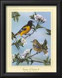 Beauty of Nature II Posters by Darryl Vlasak