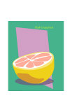 Pink Grapefruits Giclee Print by ATOM 