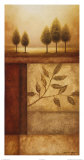 Fragments of Nature II Print by Michael Marcon