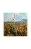 Field with Poppies Giclee Print by Vincent van Gogh