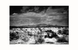 Ödland Giclée-Druck von Fumi Kobayashi