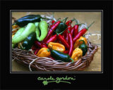 Picante Lámina giclée por Carole Gordon