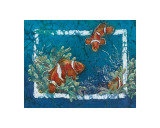 Clownfish Prints by Sue Duda