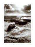 Lumiere sur les Poulains Prints by Guillaume Plisson