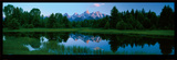 Parque nacional de Grand Teton Pósters por Alain Thomas Parque nacional de Grand Teton Pósters por Alain Thomas