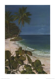 Caribbean Escape I Print by Cheryl Kessler-Romano
