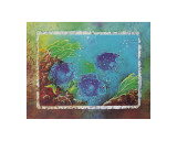Yellowtail Damselfish Posters by Sue Duda