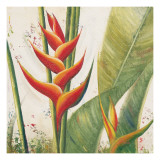 Helliconias with Leaves I Prints by Patricia Quintero-Pinto