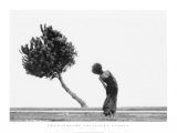 L'Arbre Posters par Cristiana Ceppas