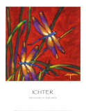 Dragonfly Dreams Prints by Robert Ichter