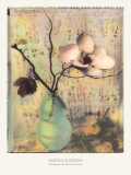 Magnolia Blossoms Posters by Susan Friedman