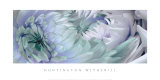 Dahlias VI Prints by Huntington Witherill