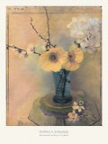 Poppies and Hydrangea Posters by Susan Friedman