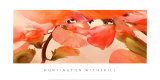 Sweet Peas #1 Láminas por Huntington Witherill