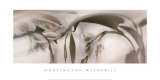 Tiger Lilies IV Posters by Huntington Witherill
