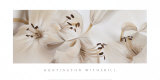 Lilies #54 Lámina por Huntington Witherill