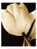 Cinzia Ryan - Radiance I - Poster