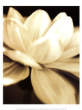 Radiance II Arte por Cinzia Ryan Radiance II Arte por Cinzia Ryan