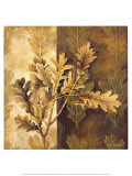 Motifs de feuille I Posters par Linda Thompson