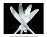 Knives Affiches par Mike Feeley