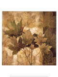 Leaf Patterns II Poster by Linda Thompson