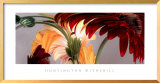 Gerbera Daisies 1 Posters by Huntington Witherill