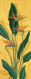 Oiseau de paradis Posters par Paul Brent