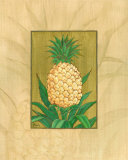 Reine Ananas Affiches par Paul Brent