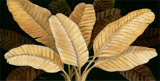 Calypso Leaves I Art par Paul Brent