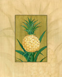 Ananas « pain de sucre » Poster par Paul Brent