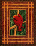 Crimson Parrot Poster by Paul Brent Crimson Parrot Poster by Paul Brent