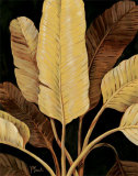La palmera del viajero Pósters por Paul Brent La palmera del viajero Pósters por Paul Brent