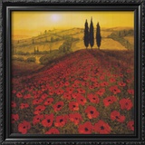 Poppy Field Prints by Steve Thoms