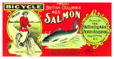 Salmon Posters