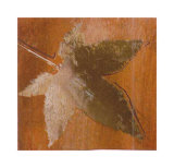 Autumn Leaves IV Poster by M. Della Casa Autumn Leaves IV Poster by M. Della Casa