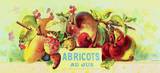 Abricot au Jus Kunstdrucke
