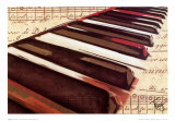 Ebony and Ivory Poster par Troy 