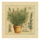 Herbes de Provence, Romarin Affiches van Pascal Cessou Herbes de Provence, Romarin Affiches van Pascal Cessou